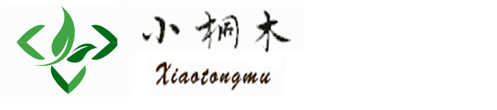 小桐木护足精油-小桐木